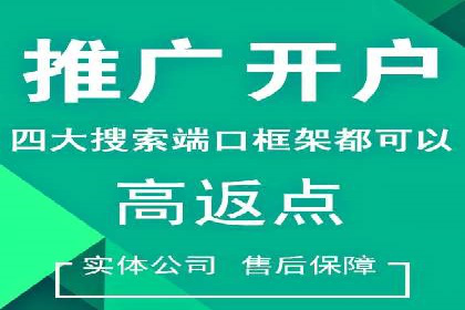 网络推广与竞价优化成功案例